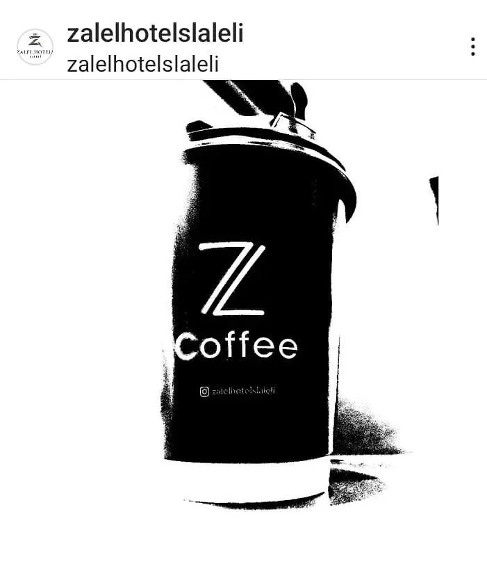 Zalel Hotels Laleli Istanboel